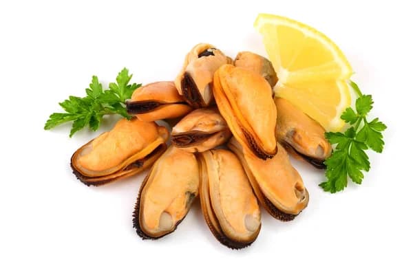 Moules